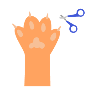 nagels van een kat worden verzorgd door de kattentrimster